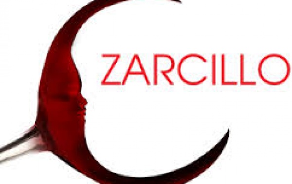 Premios Zarcillo 2013