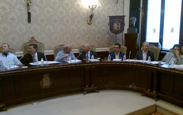 Pleno de la Diputación Provincial.