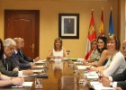 Comisión de Asistencia al Delegado del Gobierno en CyL. Foto. Delegación Gobierno CyL.